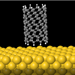 Nanotube on Gold Surface